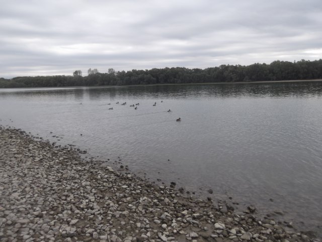 dscf3057.jpg