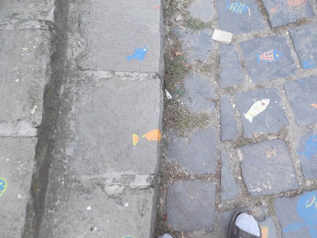 dscf3074.jpg