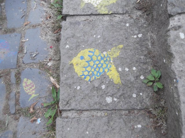 dscf3075.jpg