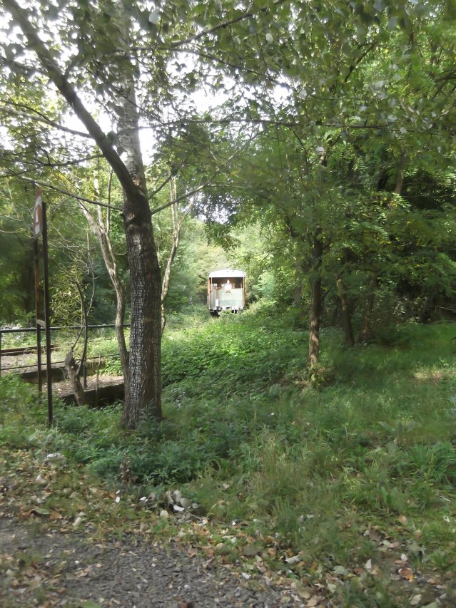 dscf3096.jpg