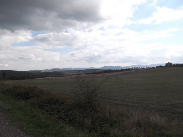 dscf3116.jpg