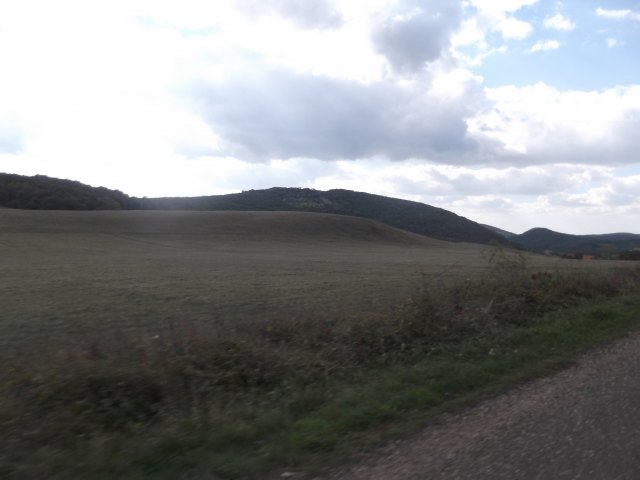 dscf3117.jpg