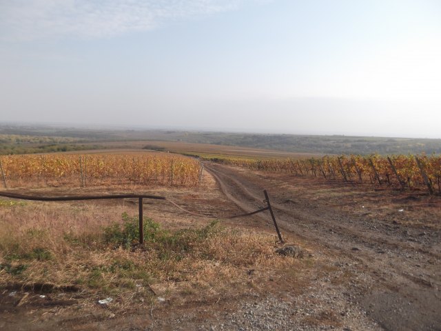 dscf3150.jpg