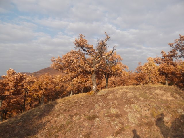 dscf3164.jpg