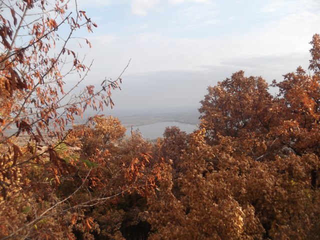 dscf3166.jpg