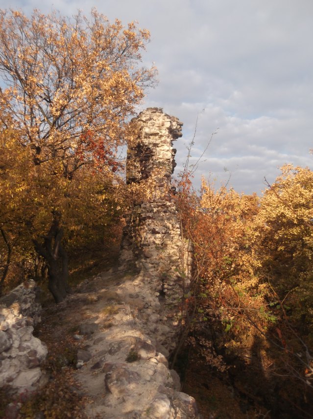 dscf3167.jpg