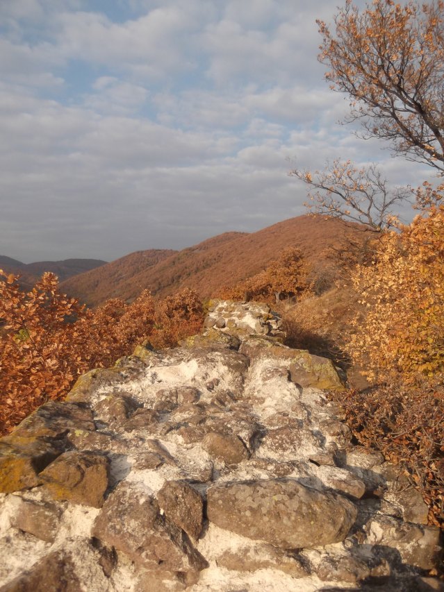 dscf3170.jpg