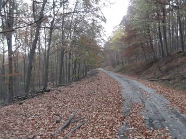 dscf3176.jpg