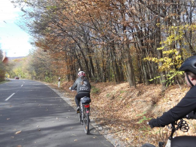 dscf3190.jpg