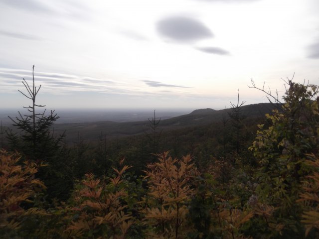 dscf3197.jpg